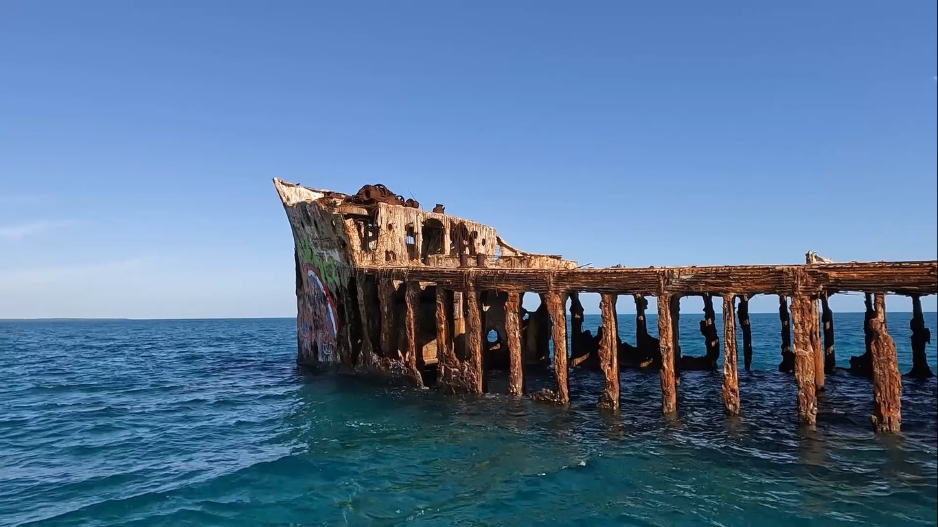 Cruise Excursion Shorts – Carnival Cruises Shore Excursion SS Sapona Shipwreck Snorkeling in Bimini Bahamas