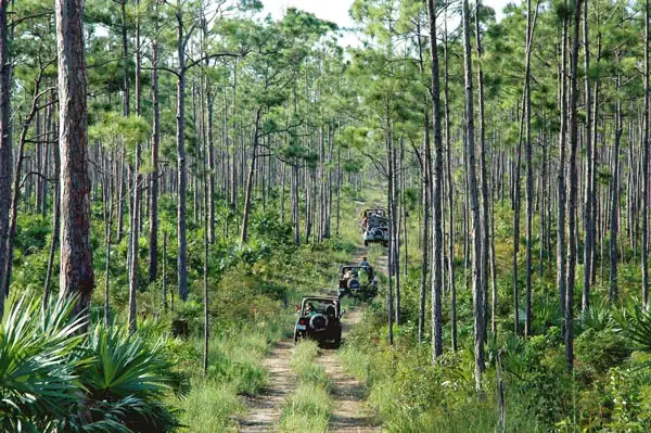 line of jeeps driving in single file line through dirt trails in freeport