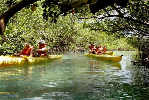 groups of two people kayaking through lucayan nation park in freeport