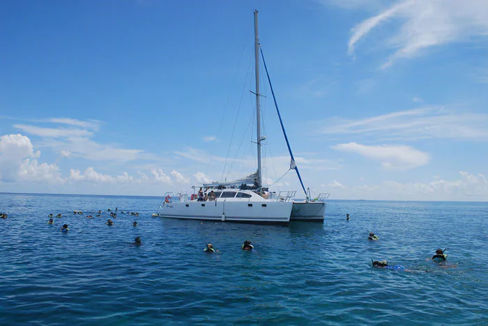 group of people snorkeling around a catamaran off the coast of freeport