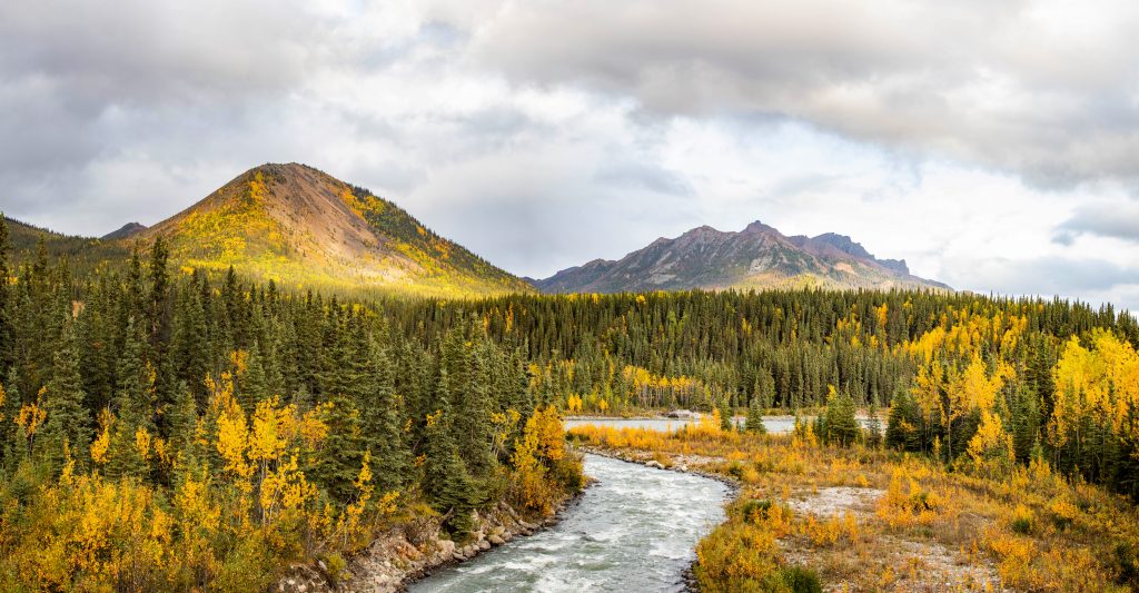 Denali National Park and Preserve
