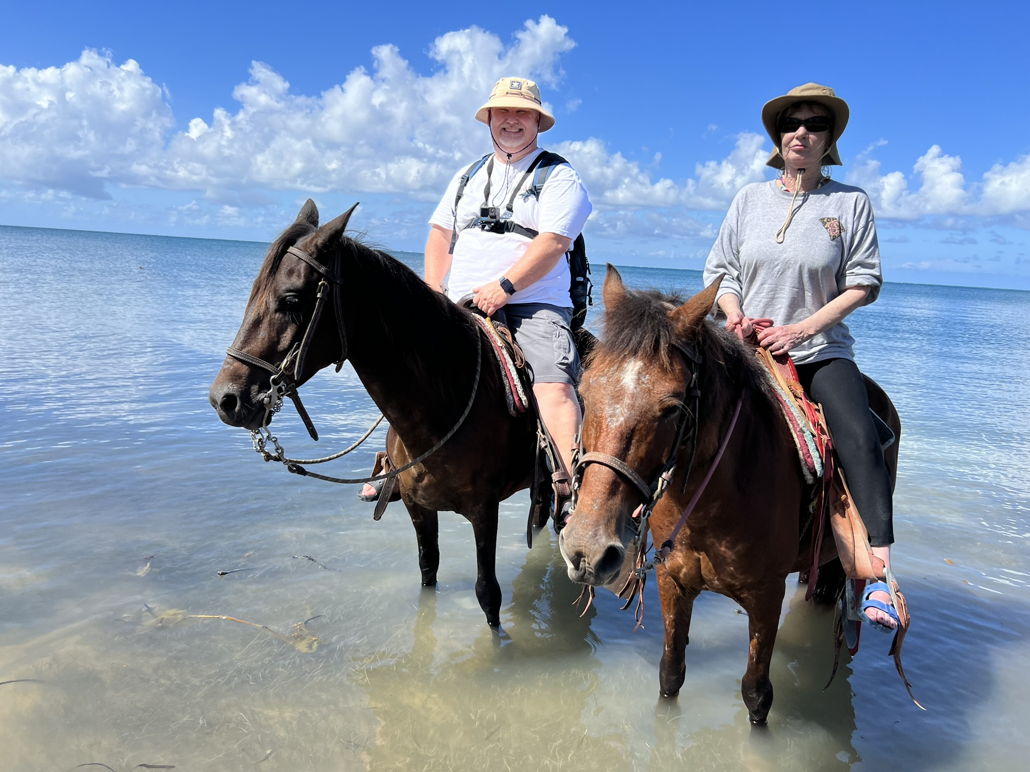 Cruise Shore Excursions - Horseback Riding, Plus Sloth Park and Beach Break in Roatan, Honduras