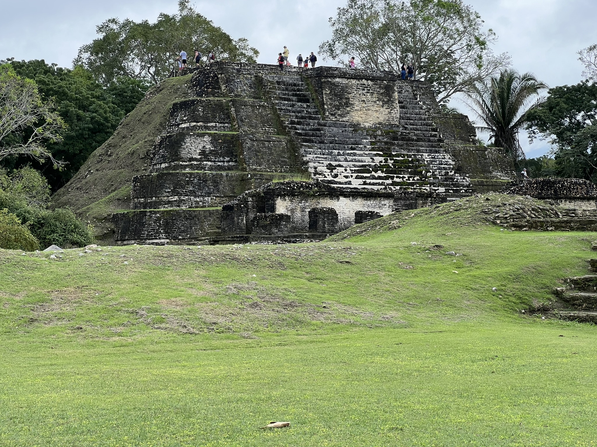 Why You Should Visit the Altun Ha Mayan Ruins During Your Next Cruise to Belize