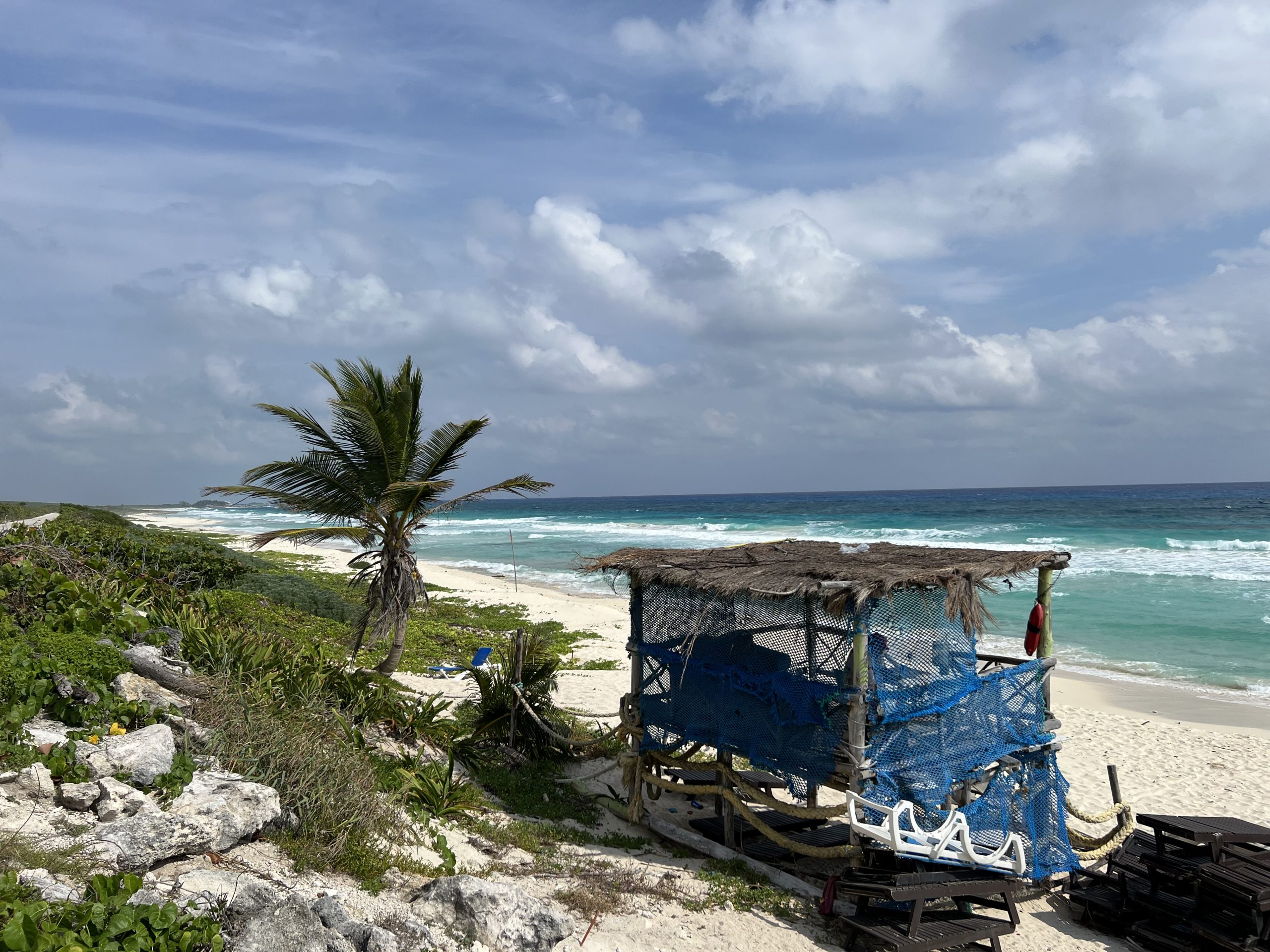 Cruise Shore Excursions - Custom Private Cozumel Jeep Tour: All-Inclusive Tour from Viator