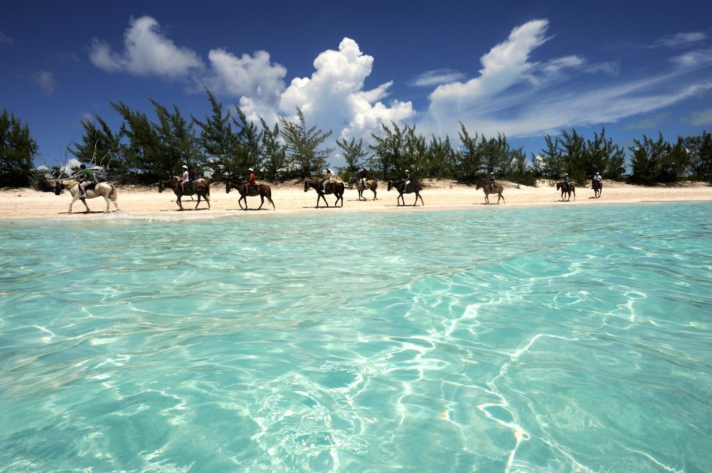 10 Essential Things to Know Before Visiting Half Moon Cay