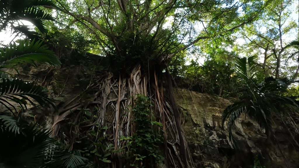 Exploring the Queen's Staircase: A Historic Gem in Nassau, Bahamas