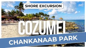 Chankanaab Park Cozumel Review | Snorkeling, Beach & Park Admission (Cruise Excursion Guide)